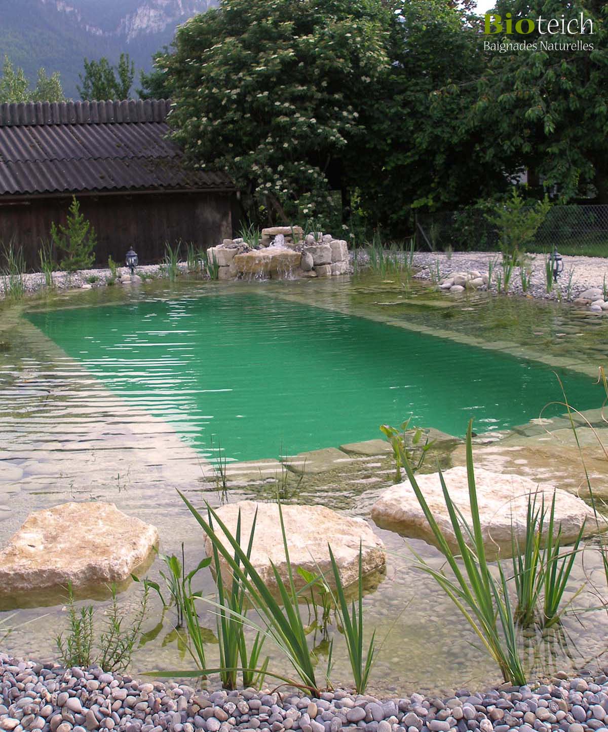 bassins piscine baignade naturelle etang ecologique